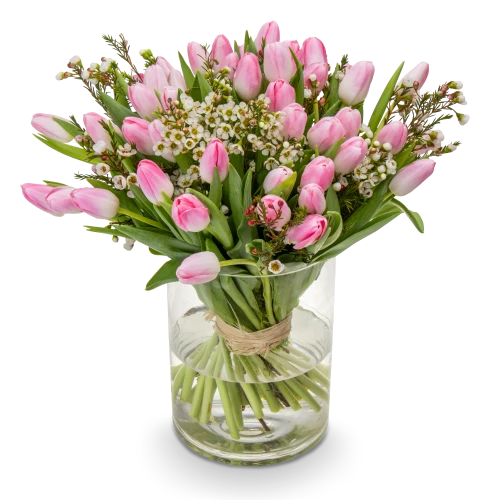 Kytice růžových tulipánů